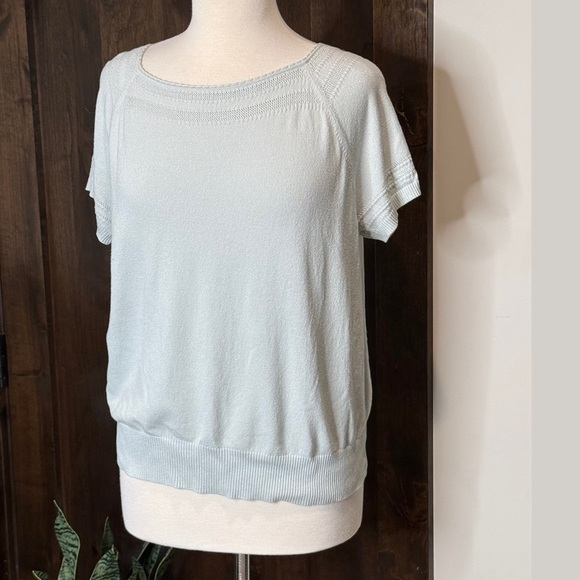 Ann Taylor Factory Short sleeve light baby blue short sleeve sweater Size XL - Picture 1 of 5